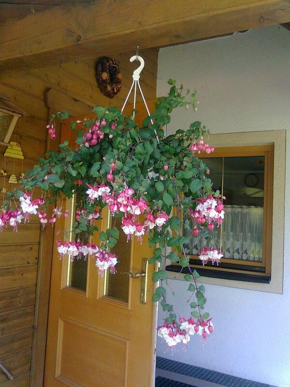 Appartement Pension Grasser Bad Kleinkirchheim Luaran gambar